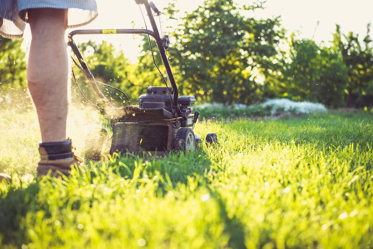 Garden lawn being cut and tidied during a clearance