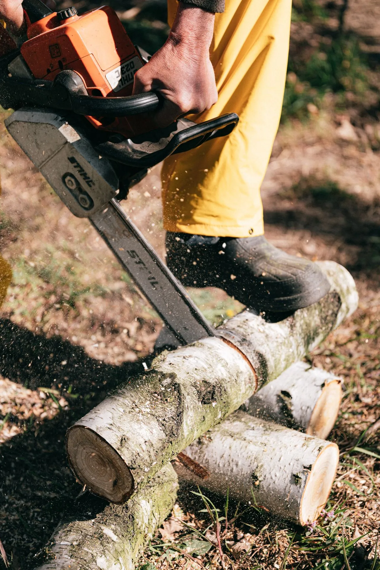 Chainsaw cutting through cut logs during a tree removal job